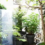 Estherea Amsterdam